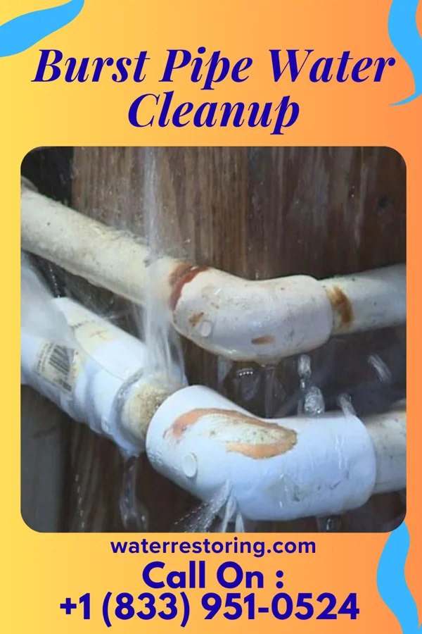 Burst Pipe Water Cleanup in Fredonia, KS
