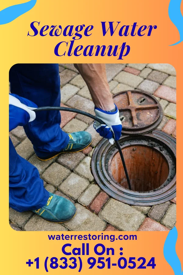 Sewage Water Cleanup in Fredonia, KS